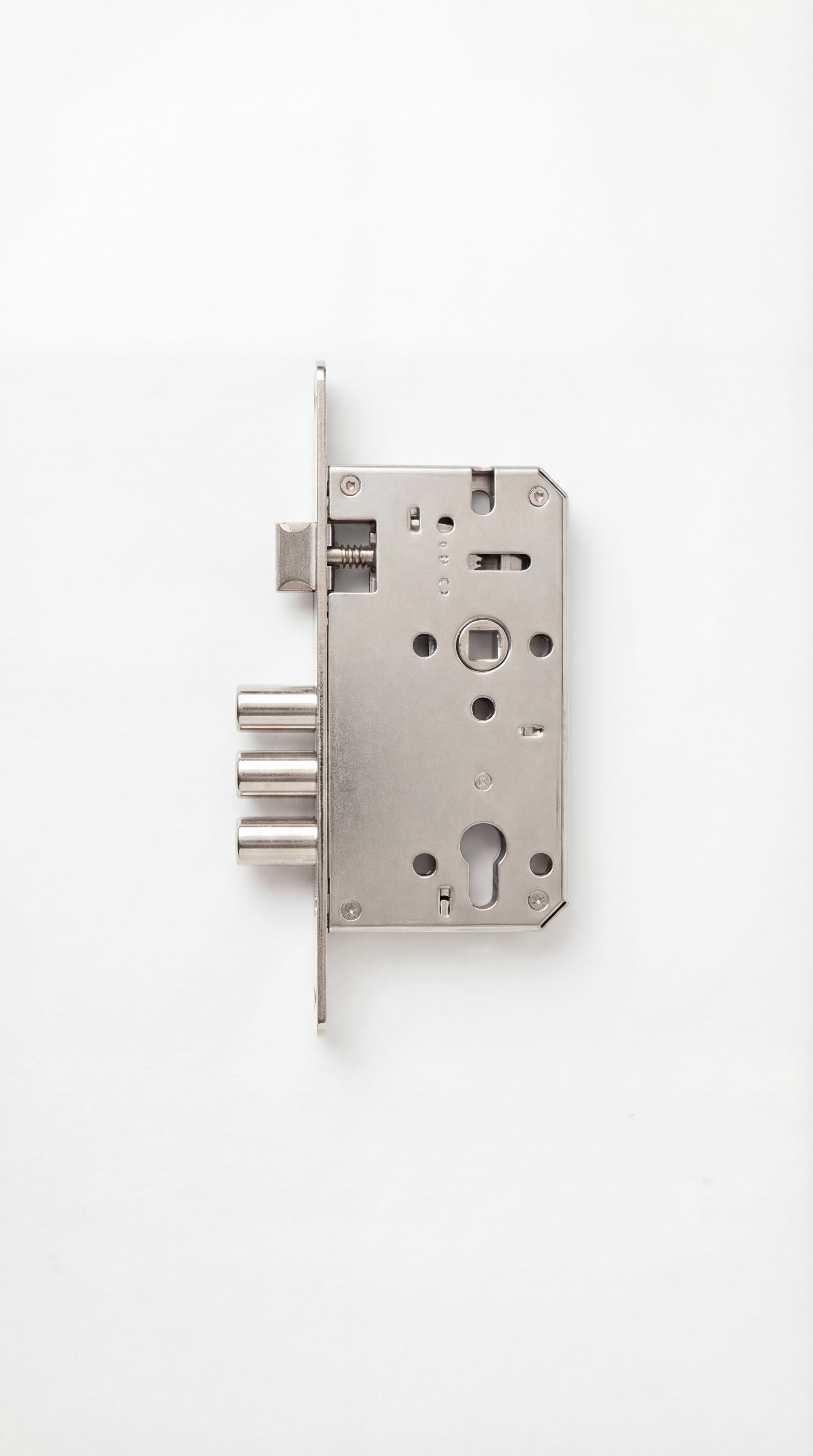 Multipoint Door Locks